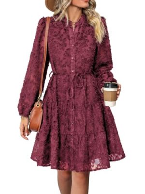 Womens Long Sleeve Fall Dresses 2024 Button Up Empire Waist with Belt A-Line Mini Dress Casual Fall Winter Dress
