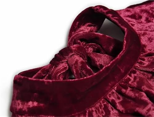 Women's Velour Evening Dress Standing Collar Long Sleeve Ruched Slim Closed Waist