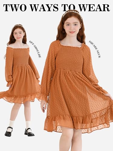 Girls Long Sleeve Dress with Puff Sleeves & Ruffle Hem, Christmas Holiday Party Dress for Fall Winter, Sizes 6-15