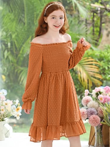 Girls Long Sleeve Dress with Puff Sleeves & Ruffle Hem, Christmas Holiday Party Dress for Fall Winter, Sizes 6-15