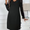 Women 2025 Summer Dress Elegant Straight Lace Long Sleeve Mini Dress For Fall/Winter