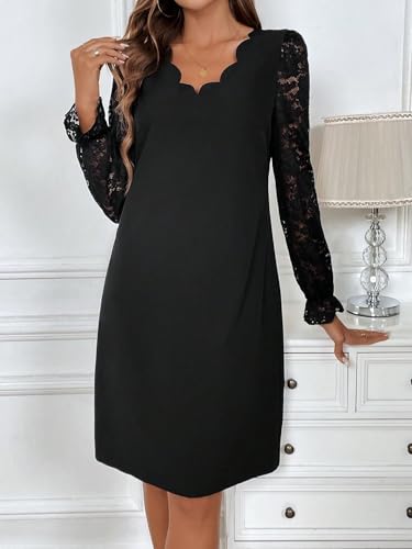 Women 2025 Summer Dress Elegant Straight Lace Long Sleeve Mini Dress For Fall/Winter
