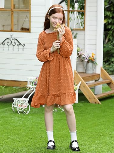 Girls Long Sleeve Dress with Puff Sleeves & Ruffle Hem, Christmas Holiday Party Dress for Fall Winter, Sizes 6-15