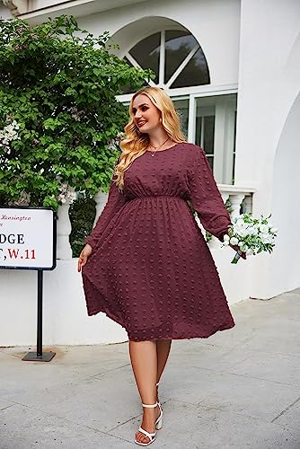 Women's Plus Size Swiss Dot Long Sleeve Chiffon Dress Flowy High Waist A Line Ruffle Babydoll Midi Dresses 16W-24W